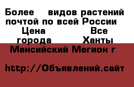 Более200 видов растений почтой по всей России › Цена ­ 100-500 - Все города  »    . Ханты-Мансийский,Мегион г.